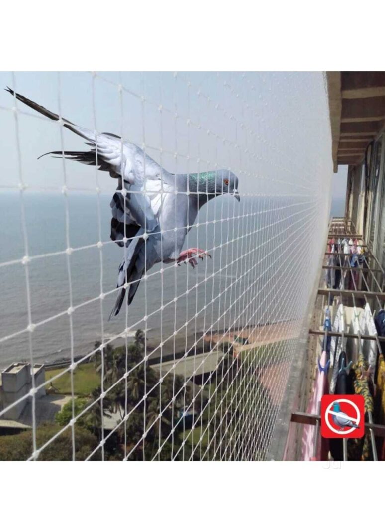 pigeon net